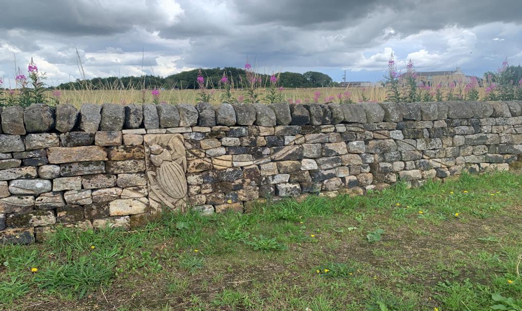Photo of the dry stone walls at Surprise View featuring a carving of an insect